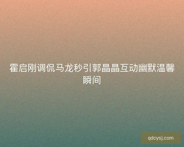 霍启刚调侃马龙秒引郭晶晶互动幽默温馨瞬间